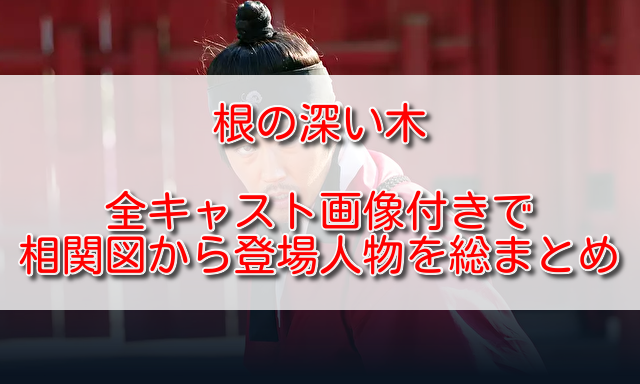 根の深い木全キャスト画像付きで相関図から登場人物を総まとめ ふくにこ韓スタ 韓国ドラマ アジアドラマ