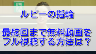 ルビーの指輪 ふくにこ韓スタ 韓国ドラマ アジアドラマ